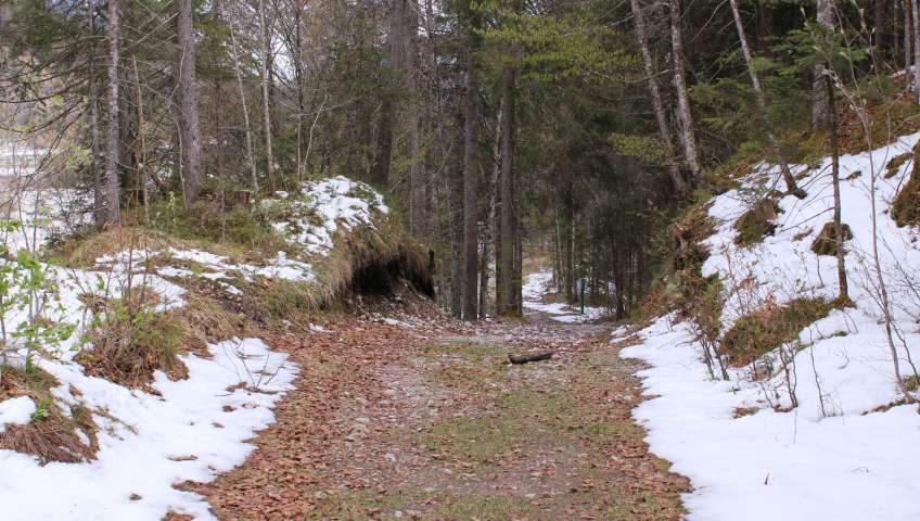Foto Bayerische Alpen im Frühling