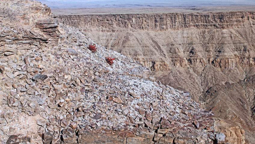 Foto Fishrivercanyon