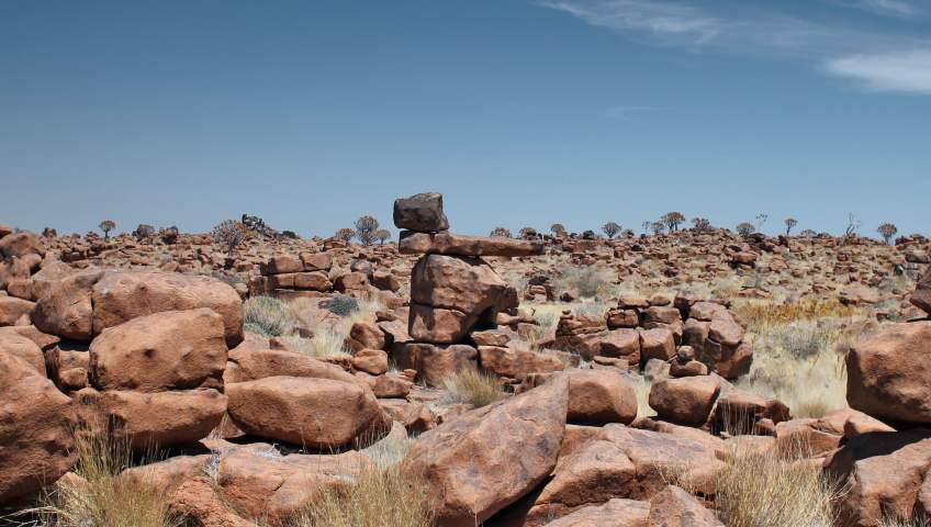 Foto Giants Playground