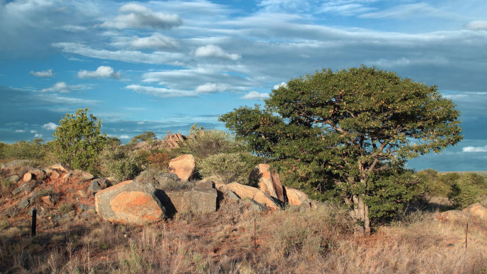 Kalahari Landschaft
