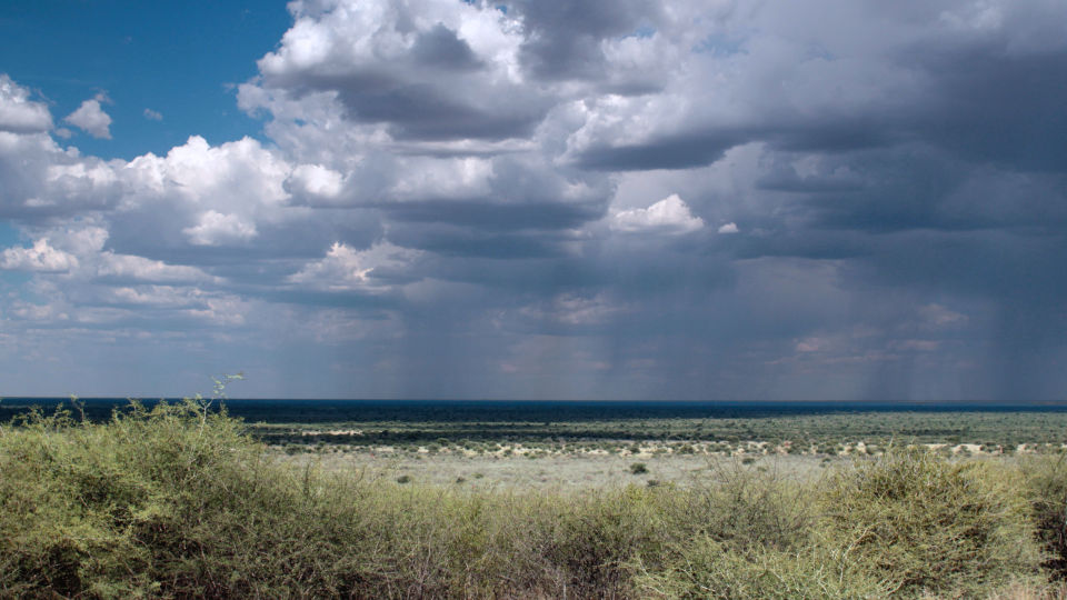 Regen in der Kalahari 