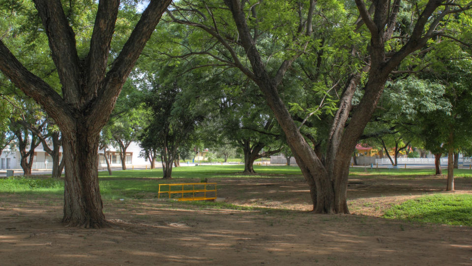 United Nations Park Tsumeb 