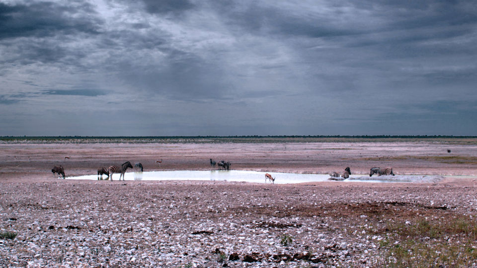 Wasserloch im Etosha-Nationalpark 