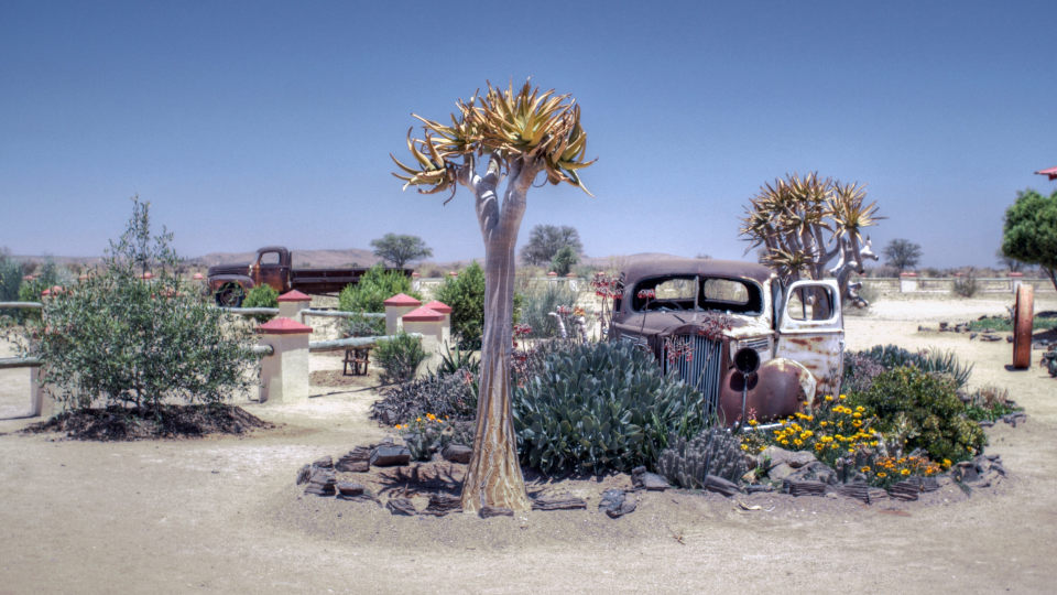 Canyon Roadhouse Lodge