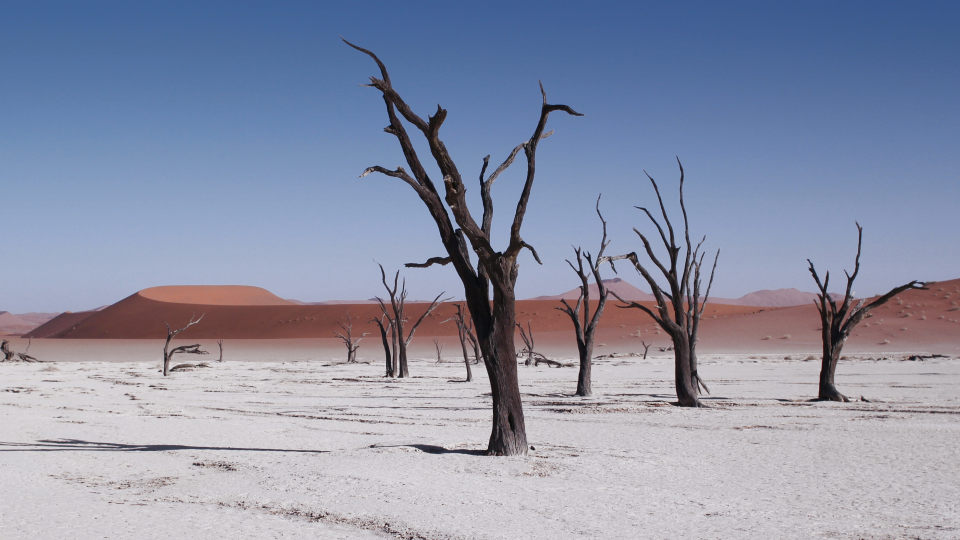 Deadvlei