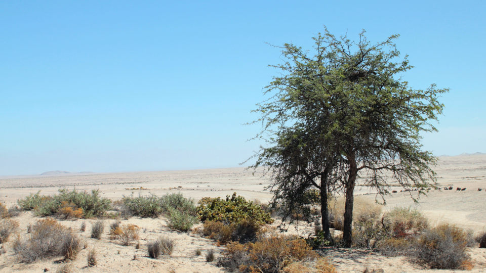 Naukluft Nationalpark schräges Tal