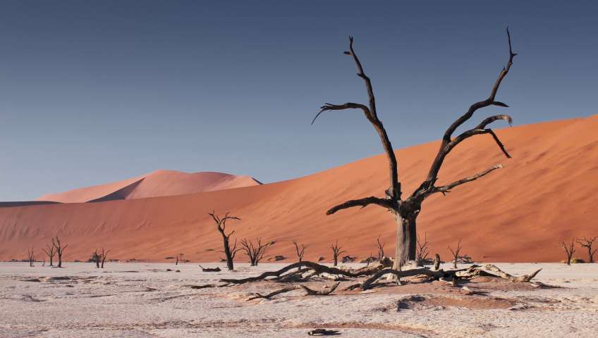 Foto Sossusvlei